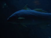 039.jpg - 2009:11:22 14:00:14