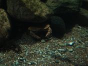 041.jpg - 2009:11:22 14:01:32