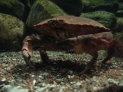 042.jpg - 2009:11:22 14:02:15