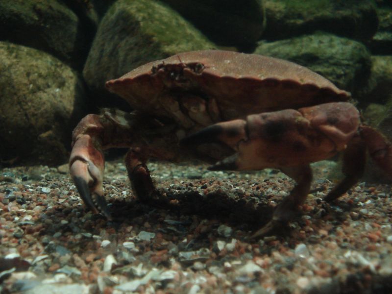 Viewing photos→2009→2009-11-21→042