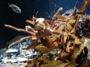 043.jpg - 2009:11:22 14:04:40