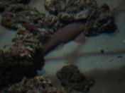 044.jpg - 2009:11:22 14:08:20