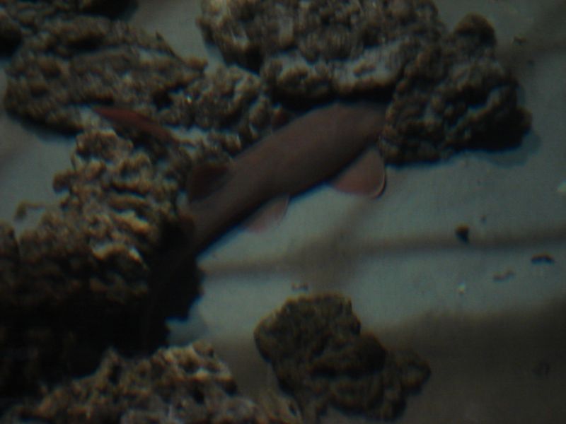 Viewing photos→2009→2009-11-21→044