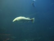 045.jpg - 2009:11:22 14:11:45