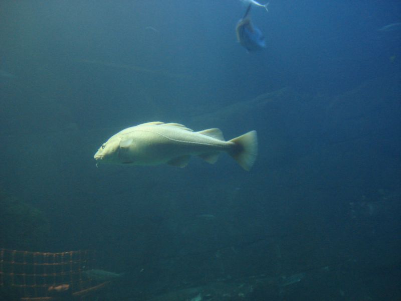 Viewing photos→2009→2009-11-21→045