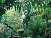 046.jpg - 2009:11:22 14:19:58