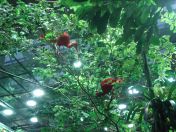 048.jpg - 2009:11:22 14:22:29