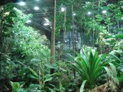 049.jpg - 2009:11:22 14:22:57