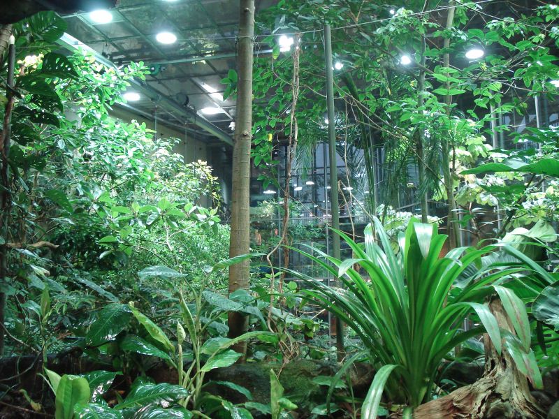 Viewing photos→2009→2009-11-21→049