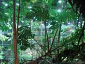 050.jpg - 2009:11:22 14:23:34