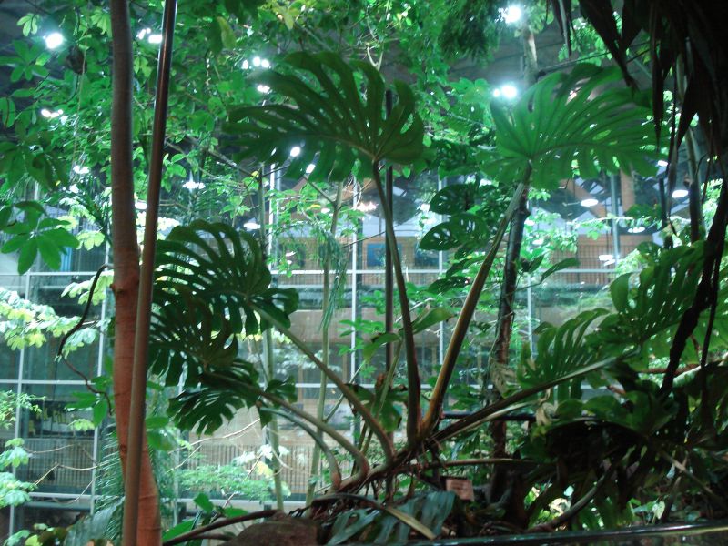 Viewing photos→2009→2009-11-21→050