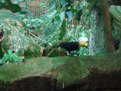 051.jpg - 2009:11:22 14:25:13