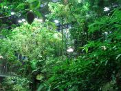 052.jpg - 2009:11:22 14:26:28