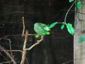 053.jpg - 2009:11:22 14:27:14