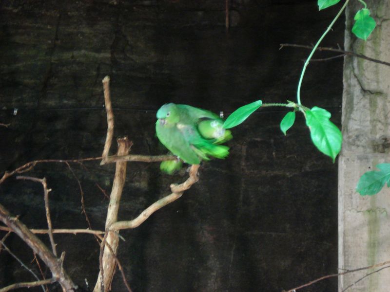 Viewing photos→2009→2009-11-21→053