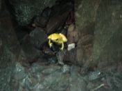 054.jpg - 2009:11:22 14:28:52