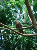 055.jpg - 2009:11:22 14:29:14