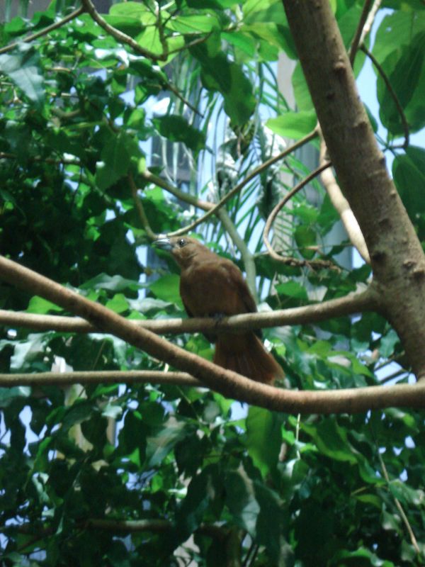 Viewing photos→2009→2009-11-21→055