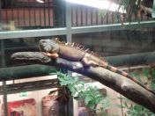 056.jpg - 2009:11:22 14:32:42