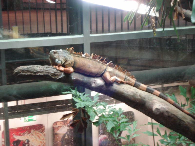 Viewing photos→2009→2009-11-21→056