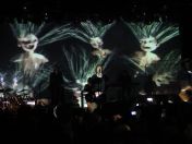 061.jpg - 2009:11:22 20:17:31