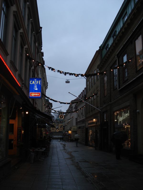 Viewing photos→2009→2009-11-21→072