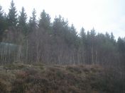 090.jpg - 2009:11:24 10:03:35