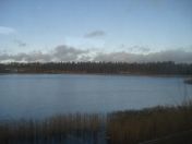 093.jpg - 2009:11:24 11:21:00