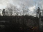 095.jpg - 2009:11:24 11:34:34