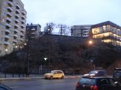 100.jpg - 2009:11:24 14:19:07