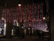 115.jpg - 2009:11:24 18:03:45