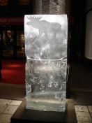 116.jpg - 2009:11:24 18:09:20