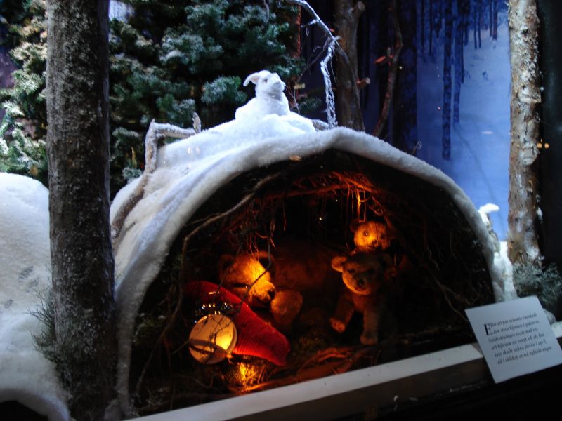 Viewing photos→2009→2009-11-21→117