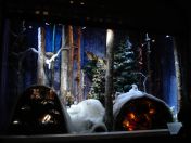 118.jpg - 2009:11:24 18:14:53