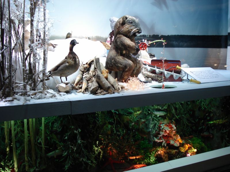 Viewing photos→2009→2009-11-21→120