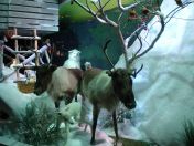 121.jpg - 2009:11:24 18:16:45