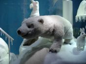 122.jpg - 2009:11:24 18:17:34