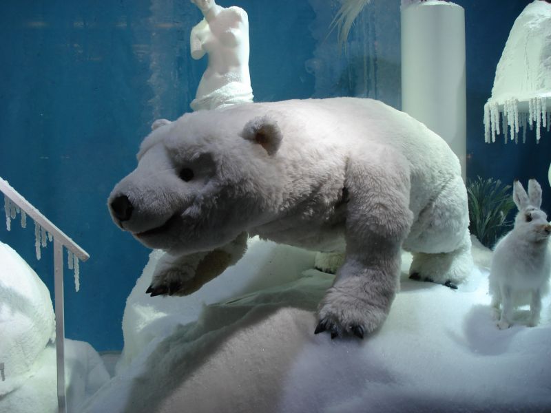 Viewing photos→2009→2009-11-21→122