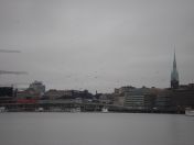 133.jpg - 2009:11:25 09:42:14