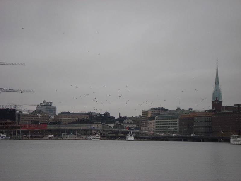 Viewing photos→2009→2009-11-21→133