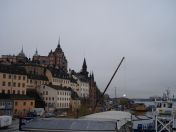 144.jpg - 2009:11:25 09:49:44