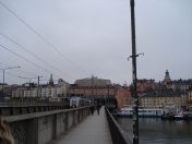 146.jpg - 2009:11:25 09:53:36