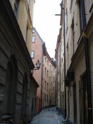 152.jpg - 2009:11:25 10:05:00