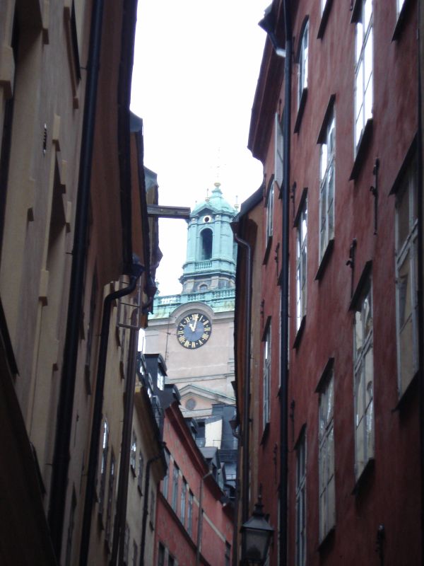 Viewing photos→2009→2009-11-21→153