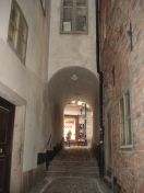 155.jpg - 2009:11:25 10:08:59