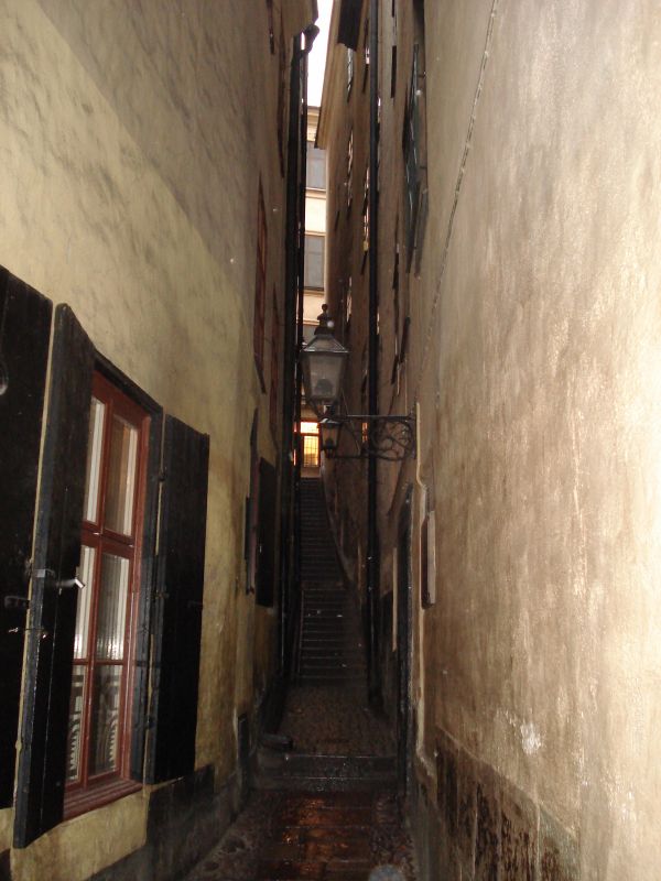 Viewing photos→2009→2009-11-21→176