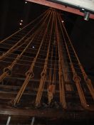 220.jpg - 2009:11:25 16:19:25