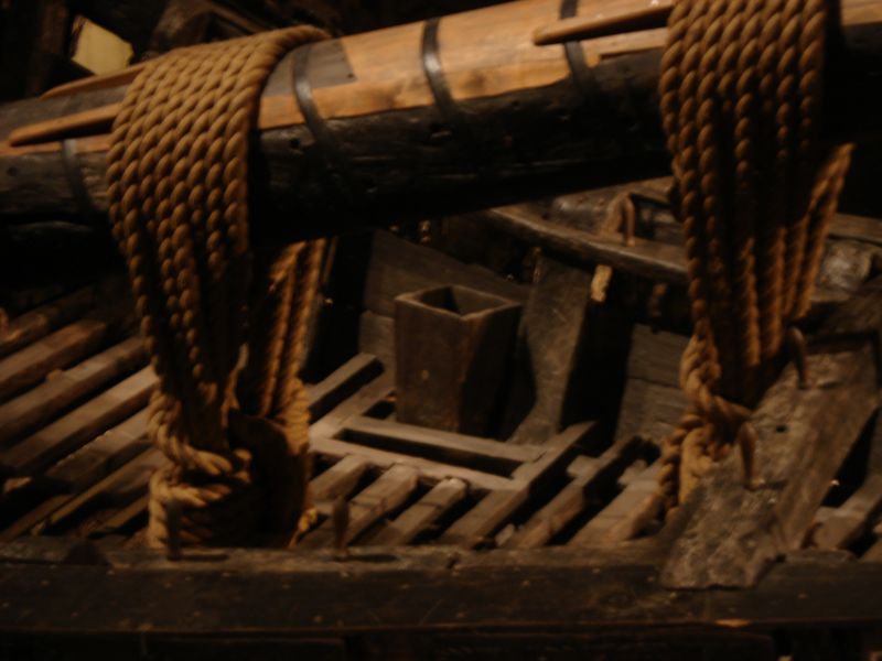 Viewing photos→2009→2009-11-21→226