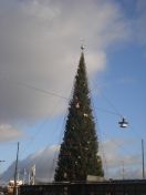 251.jpg - 2009:11:26 10:35:12