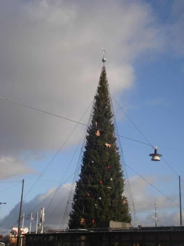 Viewing photos→2009→2009-11-21→251